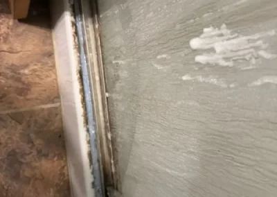 Home Cleaner