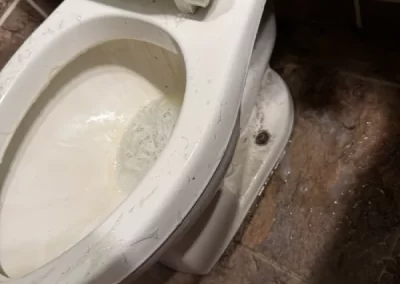 House Cleaner
