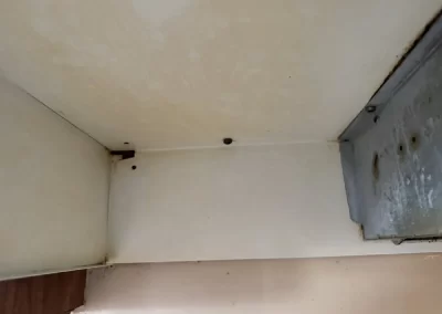 House Cleaning