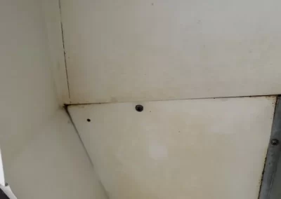 House Cleaning