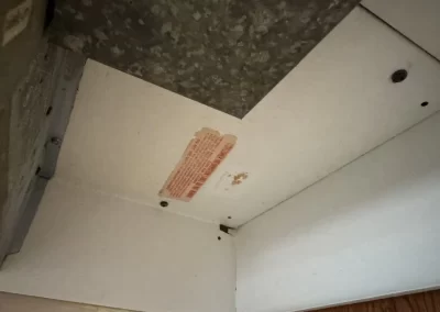 House Cleaning