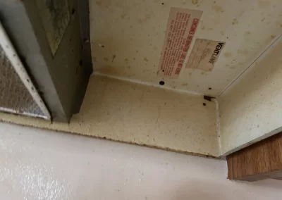 House Cleaning