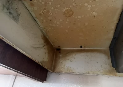 House Cleaning